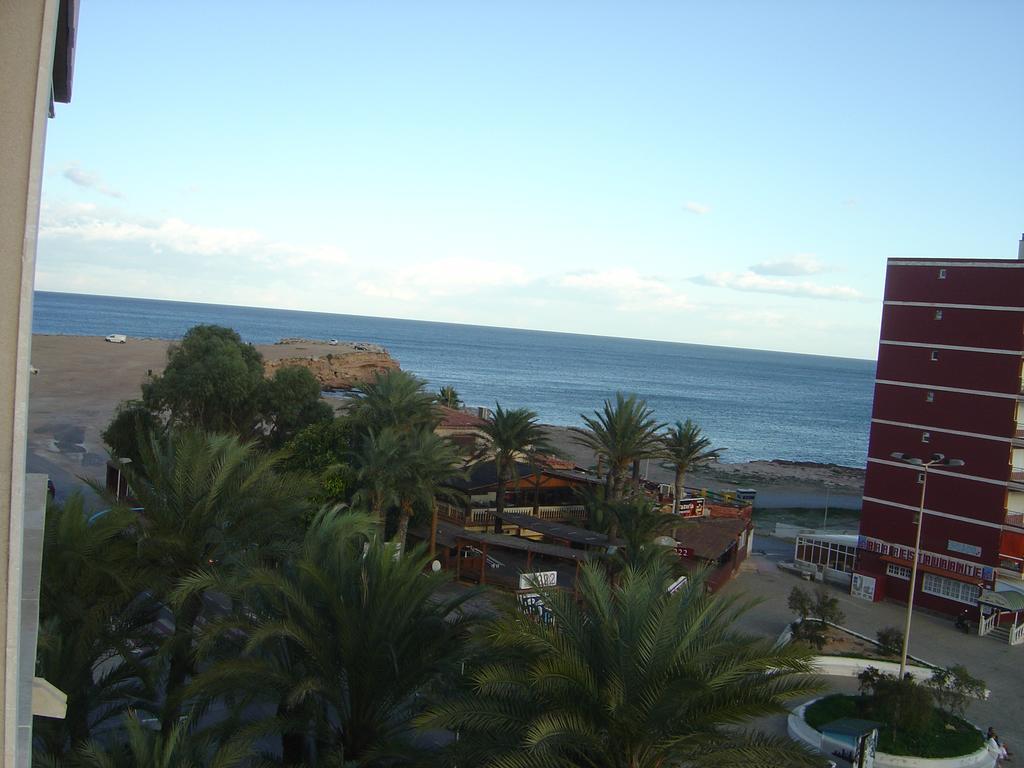 Palmeral De Torrevieja Bagian luar foto