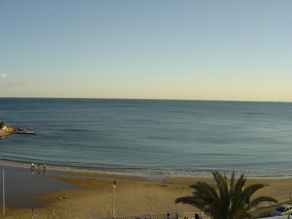 Palmeral De Torrevieja Bagian luar foto