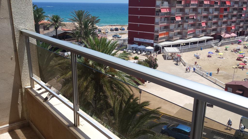 Palmeral De Torrevieja Bagian luar foto