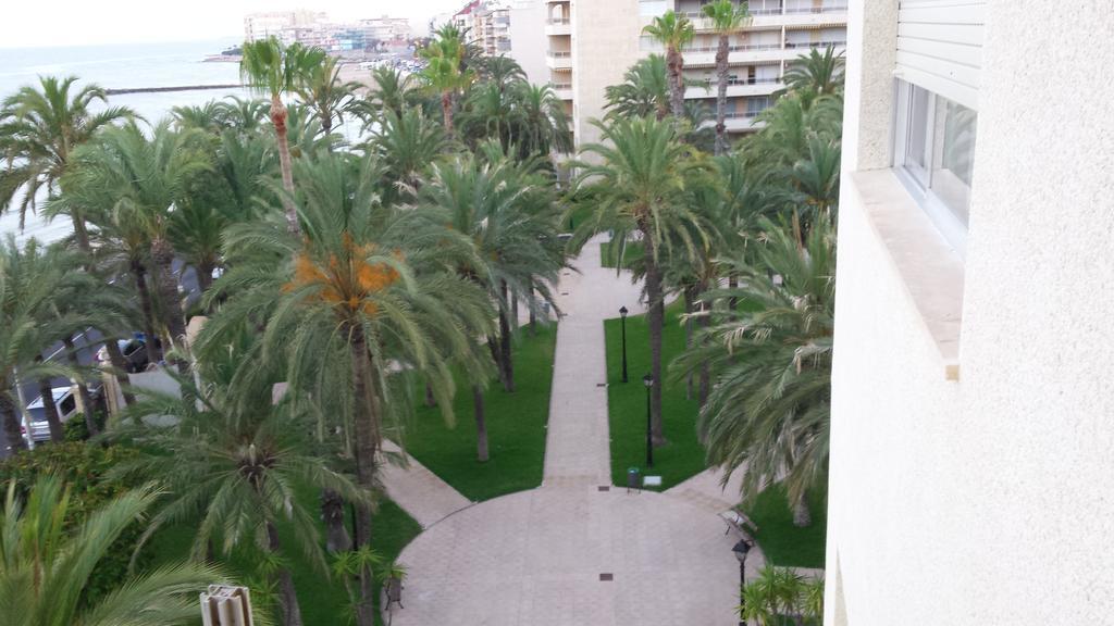 Palmeral De Torrevieja Bagian luar foto