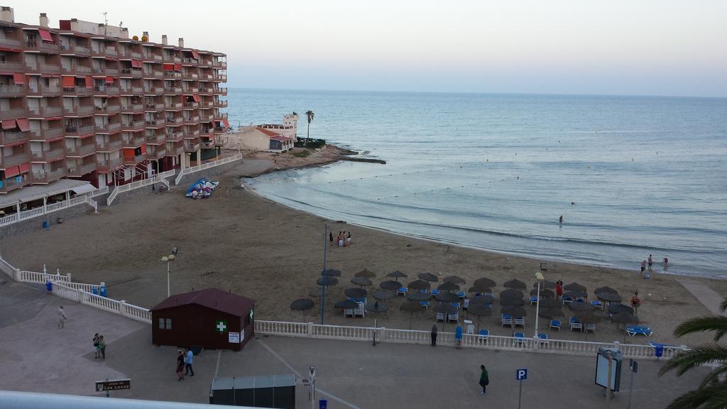 Palmeral De Torrevieja Bagian luar foto